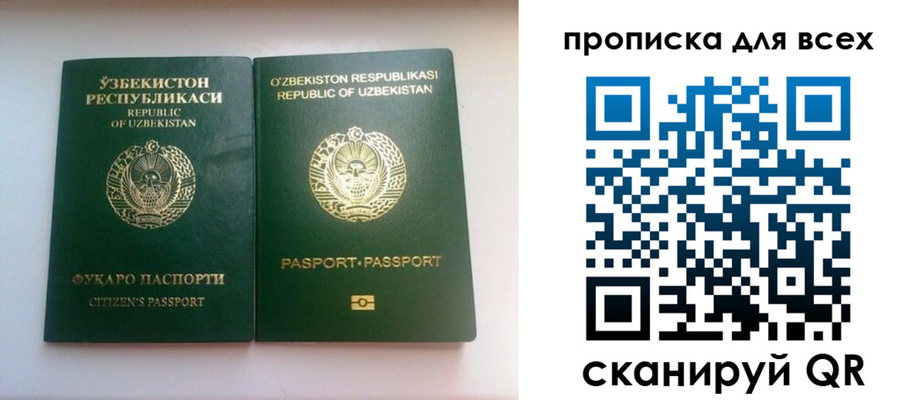 прописка для школы в Карачеве